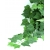 Roślina do terrarium HP BLUSZCZ hedera XL 70cm